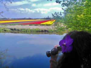 943108_620849804609008_41705705_n